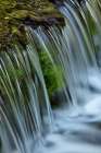 Cascading water-Fern Spring-Yosemite National Park-California Art Print